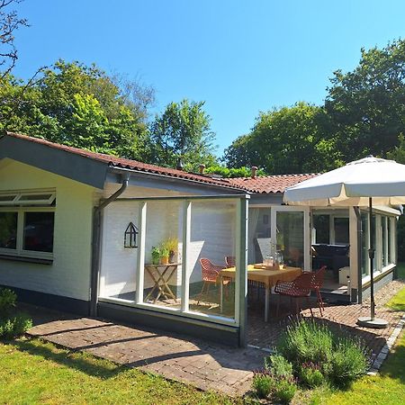 Vakantiehuis La Petite Redousse Renesse Ngoại thất bức ảnh