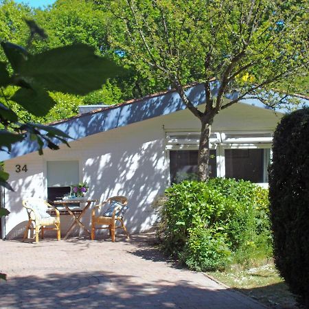 Vakantiehuis La Petite Redousse Renesse Ngoại thất bức ảnh